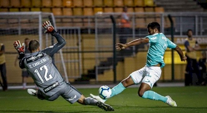 Palmeiras bate Botafogo e revê vitória depois de três partidas