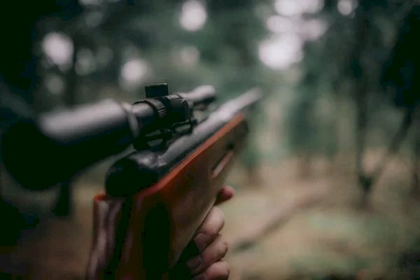 Datafolha: 9 em cada 10 brasileiros são contra liberar a caça no país