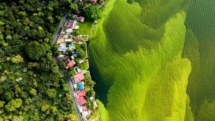 A realidade por trás da imagem do lago verde da Guatemala que ganhou o 'Oscar de fotografia da vida selvagem'