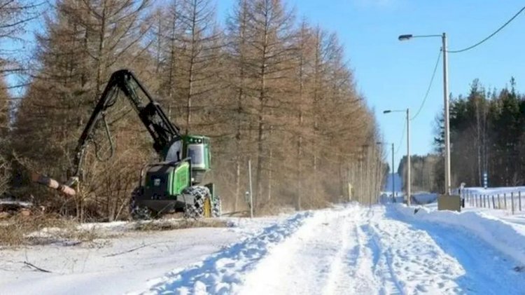 Guerra de Ucrânia: Finlândia começa a construir muro na fronteira com a Rússia