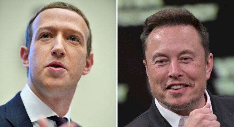 Elon Musk, do Twitter, e Mark Zuckerberg, do Facebook, se desafiam para uma luta na jaula
