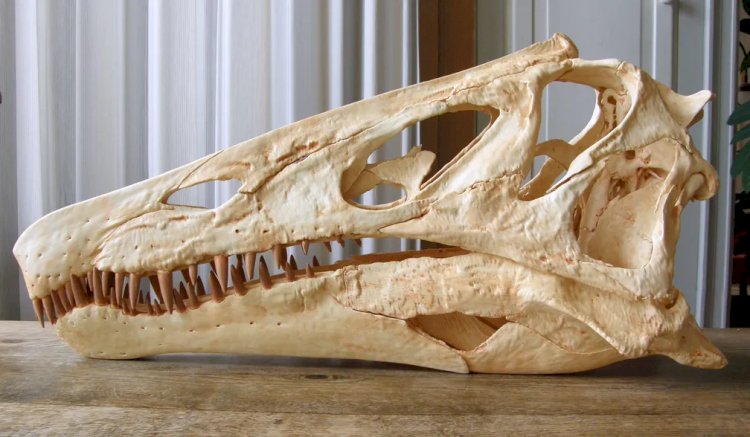 Cientistas publicam carta pressionando Alemanha a devolver Irritator, fóssil de dinossauro contrabandeado do Brasil