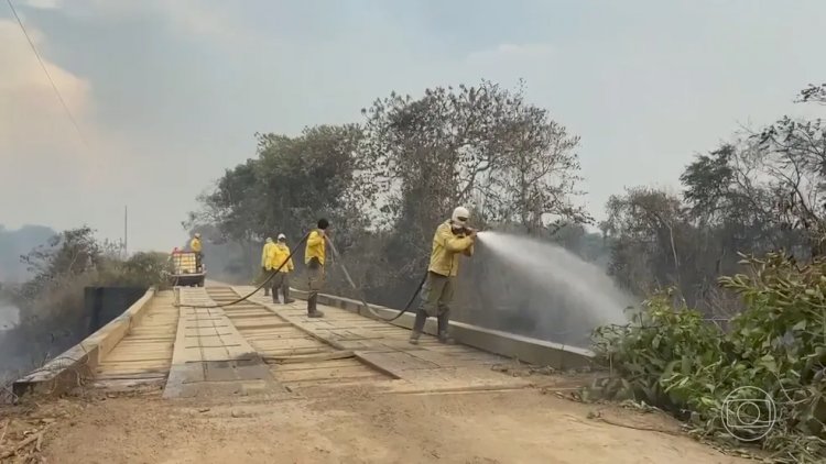 Incêndios no Pantanal atingem Transpantaneira, a principal via de acesso ao bioma em MT