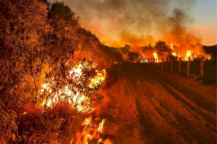 Dona de fazenda onde surgiu grande foco de incêndio no Pantanal é multada em R$ 19 milhões