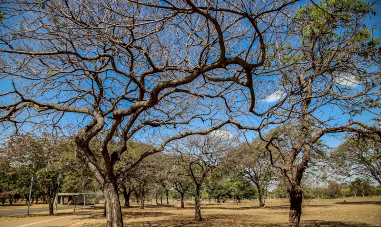 Inmet alerta sobre baixa umidade no Centro-Oeste e no Tocantins