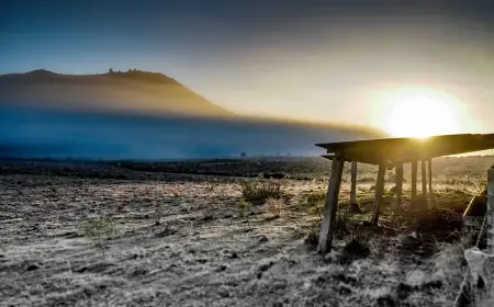 Governo abre crédito de R$ 12 bilhões para produtores rurais